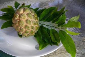 hand plockade Cherimoya foto