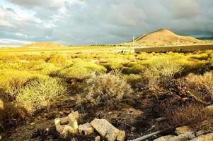 naturskön se i tenerife foto