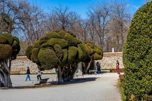 retiro parkera i madrid Spanien i vår dag landskap foto