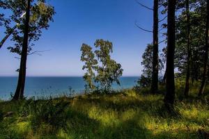 sommar landskap med hav och brant sluttning träd i jastrzebia gora, polen på en värma dag foto