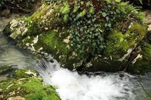 en klar blå ström av vatten från berg flod falls i en små kaskad från vit stenar täckt med grön mossa. tidigt vår. foto