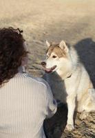 en kvinna med lockigt hår och en hund med en krage den där säger hes på Det. hund tittar på på hans ägare. foto