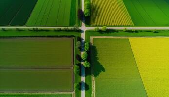 generativ ai, bruka landskap, jordbruks fält, skön landsbygden, Land väg. natur illustration, fotorealistisk topp se Drönare, horisontell baner. foto