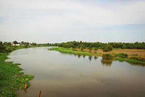 skön landskap av färsk grön ris fält och plantager nära kanal i thailand foto