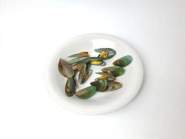 grön mussla på en tallrik på en vit bakgrund, färsk ny zealand mussla eller perna canaliculus på en vit bakgrund. isolerat grön musslor. foto