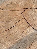 gammal trä textur bakgrund foto