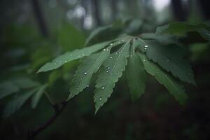 en närbild av våt texturerad löv i en daggig morgon- i de skog. ai genererad foto
