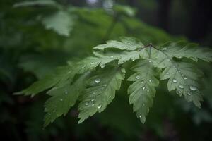 en närbild av våt texturerad löv i en daggig morgon- i de skog. ai genererad foto