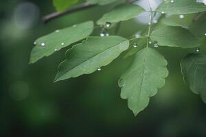 en närbild av våt texturerad löv i en daggig morgon- i de skog. ai genererad foto