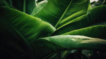 tropisk handflatan löv bakgrund. illustration ai generativ foto