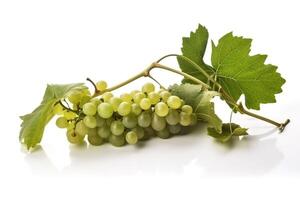 vin av färsk grön vindruvor, isolera på vit bakgrund. kvist av organisk naturlig mat. ai genererad. foto