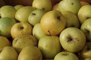 grönt äppelfrukt, hälsosam och god mat foto