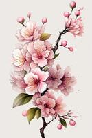 generativ ai illustration av realistisk sakura eller körsbär blomma, japansk vår blomma sakura, rosa körsbär blomma på vit bakgrund foto