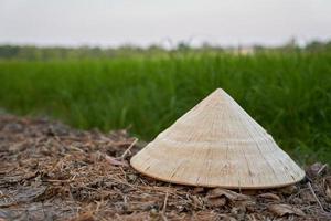 begrepp skönhet av vietnamese konisk hatt på de jord golv med fläck grön ris fält bakgrund foto