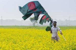 7 december 2014, en hawker säljer bangladeshiska nationell flaggor på en senap fält på munshiganj, dhaka, bangladesh. foto