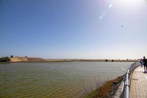 landskap på de spanska kanariefågel ö av gran canaria med de la charca de maspalomas lagun foto