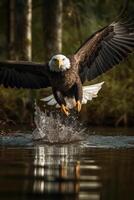 amerikan skallig Örn dykning mot de himmel stänga upp Foto generativ ai