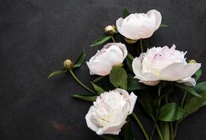 pion blommor på en svart betong bakgrund foto