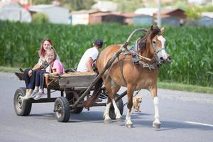 en häst med en vagn är bärande människor längs ett asfalt väg. foto
