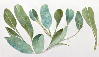 eukalyptus löv gräns, vattenfärg illustration isolerat på vit, grönska ClipArt för bröllop. generativ ai foto