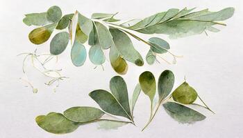 gyllene ramar med eukalyptus löv isolerat uppsättning. generativ ai foto