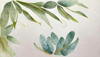 eukalyptus löv gräns, vattenfärg illustration isolerat på vit, grönska ClipArt för bröllop. generativ ai foto