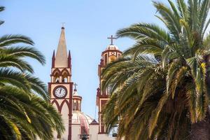 kyrka av de gudomlig räddare i de huvud trädgård av läkare mora guanajuato foto