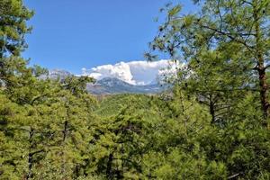 skön se av de turkiska bergen täckt med grön skog på en sommar dag, foto