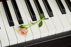 Semester musik sammansättning med rosa reste sig på piano tangentbord foto