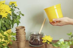 kvinna hand innehav trädgård pott, inlagd plantes och trädgård Tillbehör foto