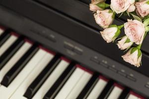 romantisk Semester sammansättning med rosa ro på piano foto