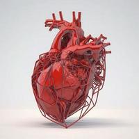 röd Färg, mänsklig hjärta trådmodell på vit bakgrund foto