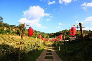 skön röd papper kinesisk lyktor dekoration på gångväg av lä- vin ruk thai tillflykt belägen på de fjäll, thailand foto