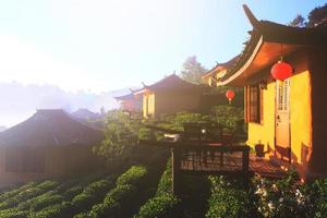 skön tillflykt och vallage är kinesisk stil med te plantage i dimma och soluppgång lysande på de berg på förbjuda rak thai, mae hong son provins, thailand. foto