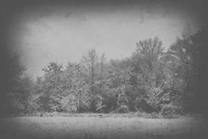 ledsen, tömma, ensam, morgon, med de väg och snö på de början av vinter- foto