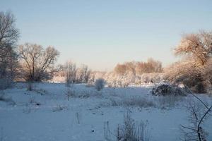 vinter- landskap med vit skön snö träd och en blå molnfri himmel foto
