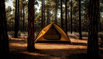 sommar läger i de tall skog, utsikt av camping tält bland de tall träd ,generativ ai foto