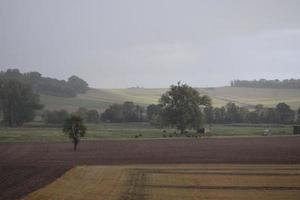 regn i de sumpland och fält foto