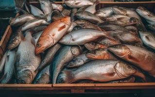 färsk fisk på de disken av en fisk marknadsföra i Venedig, Italien foto