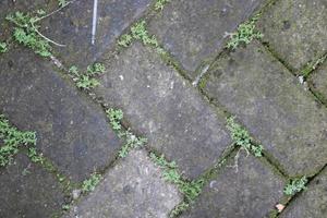 Foto av fot cement textur på de jord