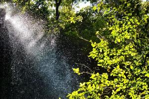 skön vatten stänk vattenfall foto