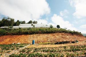 vatten tillförsel systemet i jordgubb bruka och växt barnkammare i växthus på de berg på nordlig i thailand foto