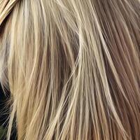 illustration av blond slät hår. tillbaka se frisyr med lång vågig hår. de bild var skapas använder sig av generativ ai. foto