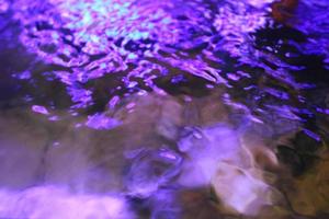 Foto av lila akvarium vatten från ovan