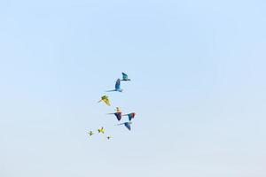 gul grön ara papegoja flygande med grupp i ljus blå himmel bakgrund foto