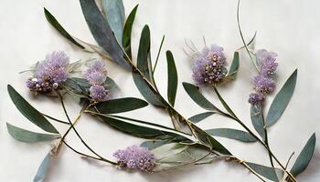 lavendel- blommor och eukalyptus grenar isolerat på vit, blommig krans. generativ ai foto