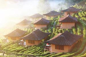 skön tillflykt och vallage är kinesisk stil med te plantage i dimma och soluppgång lysande på de berg på förbjuda rak thai, mae hong son provins, thailand. foto