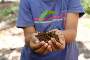 barn innehav ung fröplanta växt i hand för plantering i jord. jord dag begrepp foto