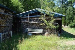 trä- hydda i de skog foto