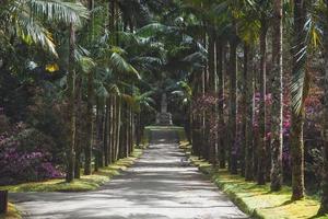 parque terra nostra i sao miguel, de azorerna foto